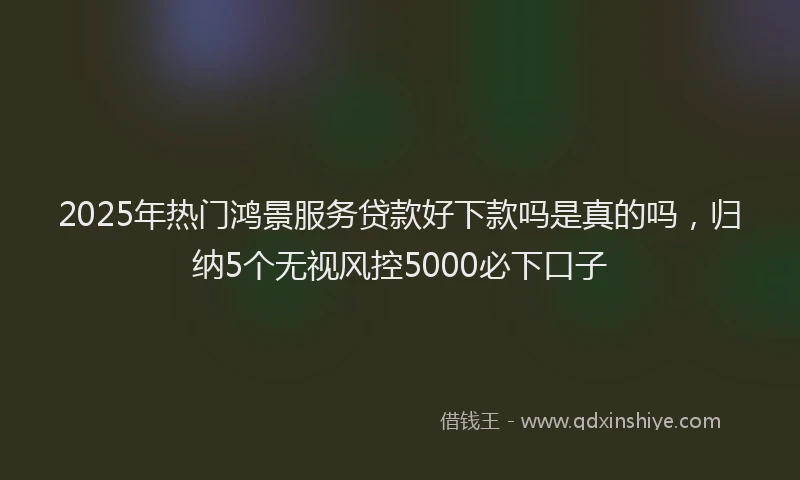 2025年热门鸿景服务贷款好下款吗是真的吗,归纳5个无视风控5000必下口子