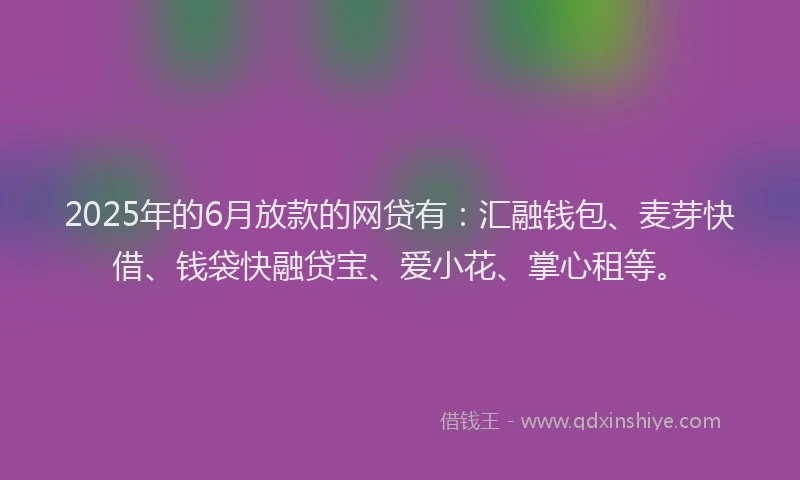 2025年的6月放款的网贷有：汇融钱包、麦芽快借、钱袋快融贷宝、爱小花、掌心租等。