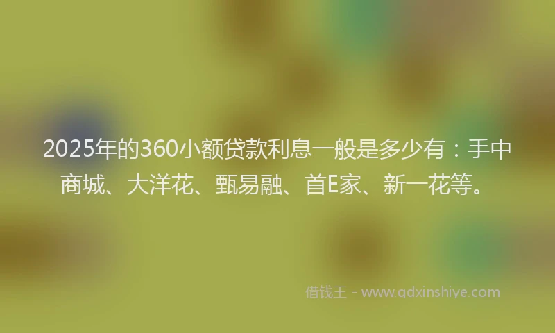 2025年的360小额贷款利息一般是多少有：手中商城、大洋花、甄易融、首E家、新一花等。
