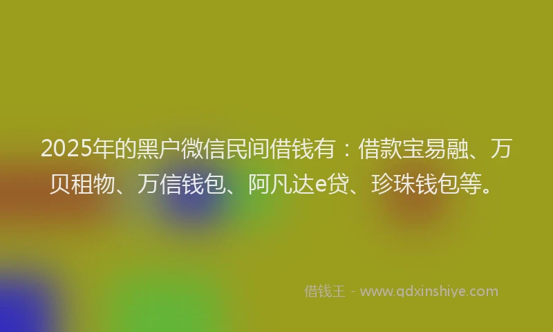 2025年的黑户微信民间借钱有：借款宝易融、万贝租物、万信钱包、阿凡达e贷、珍珠钱包等。