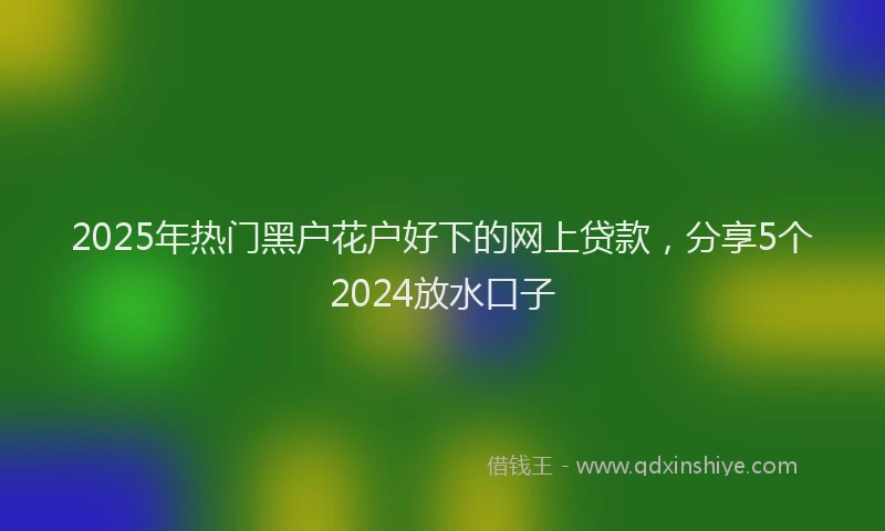 2025年热门黑户花户好下的网上贷款，分享5个2024放水口子