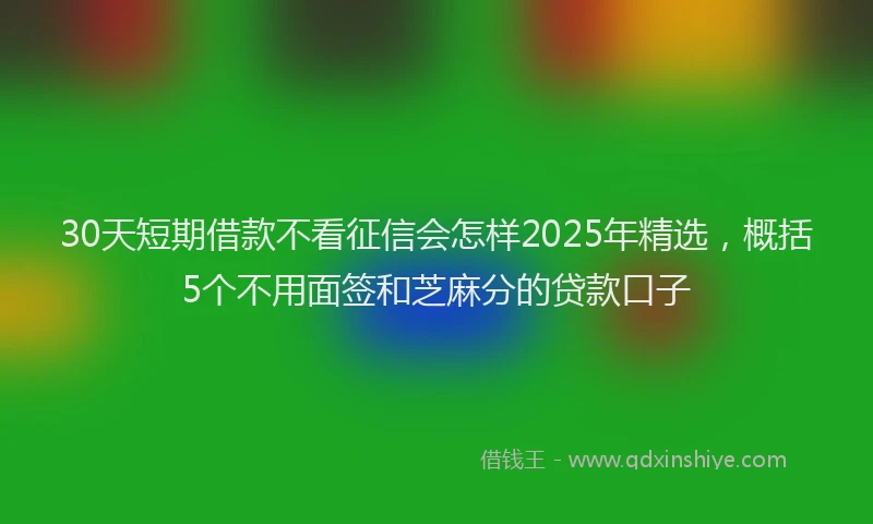 30天短期借款不看征信会怎样2025年精选，概括5个不用面签和芝麻分的贷款口子