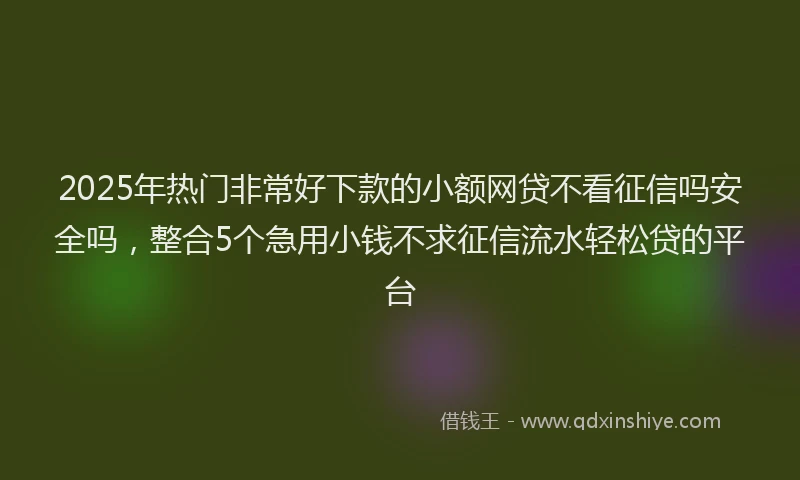 2025年热门非常好下款的小额网贷不看征信吗安全吗，整合5个急用小钱不求征信流水轻松贷的平台