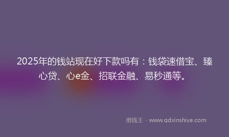 2025年的钱站现在好下款吗有：钱袋速借宝、臻心贷、心e金、招联金融、易秒通等。