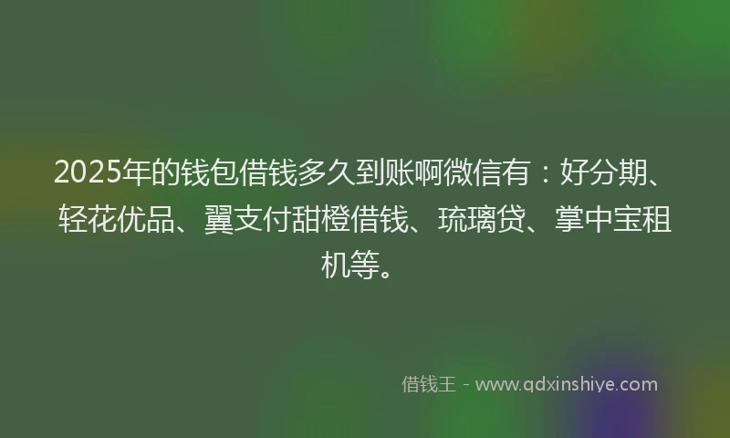 2025年的钱包借钱多久到账啊微信有:好分期、轻花优品、翼支付甜橙借钱、琉璃贷、掌中宝租机等。