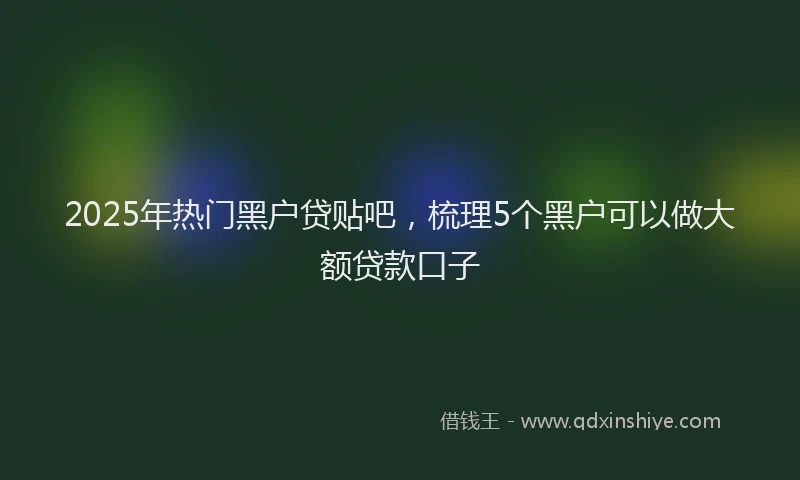 2025年热门黑户贷贴吧，梳理5个黑户可以做大额贷款口子