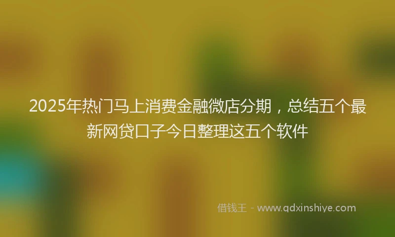 2025年热门马上消费金融微店分期，总结五个最新网贷口子今日整理这五个软件