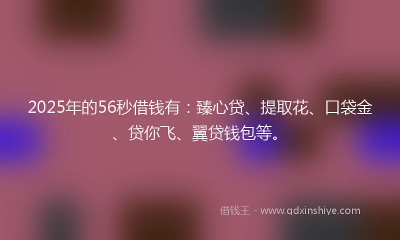 2025年的56秒借钱有：臻心贷、提取花、口袋金、贷你飞、翼贷钱包等。