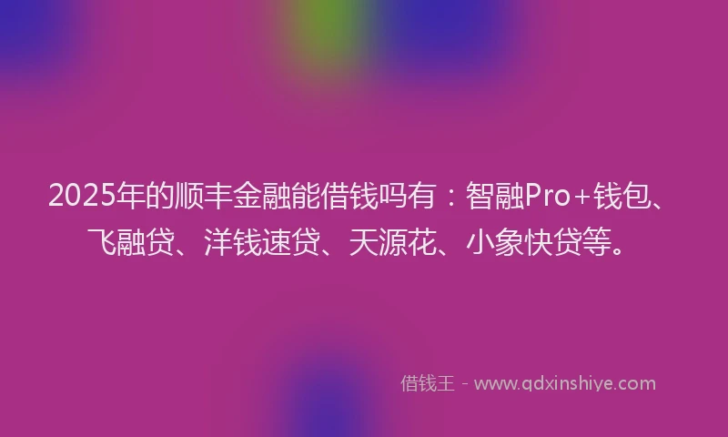 2025年的顺丰金融能借钱吗有：智融Pro+钱包、飞融贷、洋钱速贷、天源花、小象快贷等。