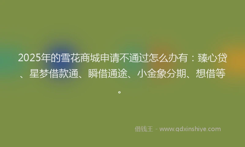 2025年的雪花商城申请不通过怎么办有：臻心贷、星梦借款通、瞬借通途、小金象分期、想借等。