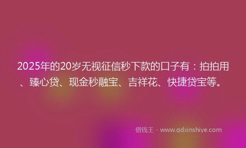 2025年的20岁无视征信秒下款的口子有：拍拍用、臻心贷、现金秒融宝、吉祥花、快捷贷宝等。