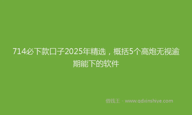 714必下款口子2025年精选，概括5个高炮无视逾期能下的软件