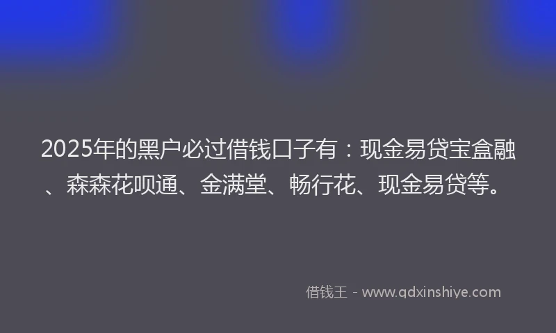 2025年的黑户必过借钱口子有：现金易贷宝盒融、森森花呗通、金满堂、畅行花、现金易贷等。