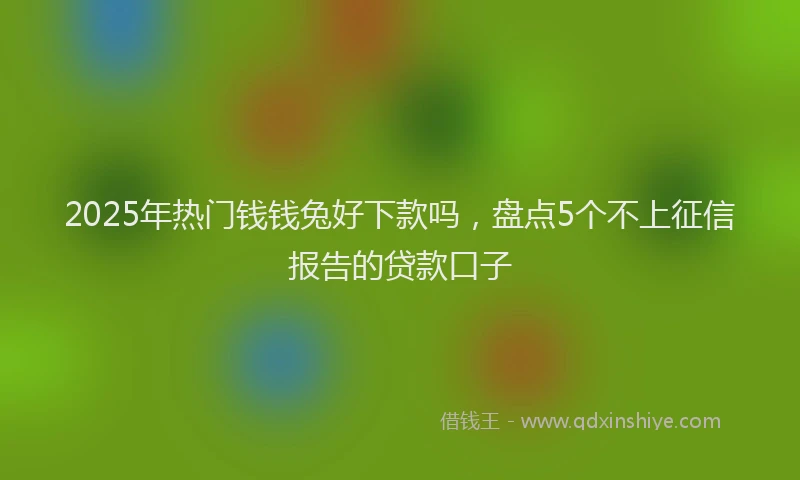 2025年热门钱钱兔好下款吗，盘点5个不上征信报告的贷款口子