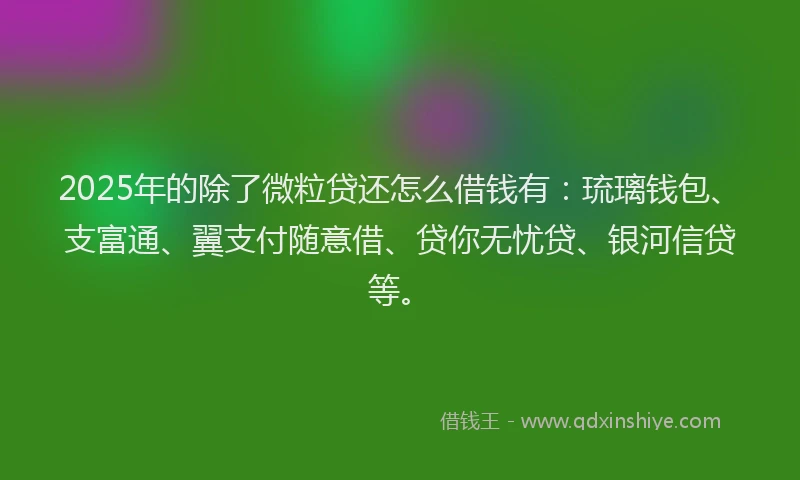 2025年的除了微粒贷还怎么借钱有：琉璃钱包、支富通、翼支付随意借、贷你无忧贷、银河信贷等。