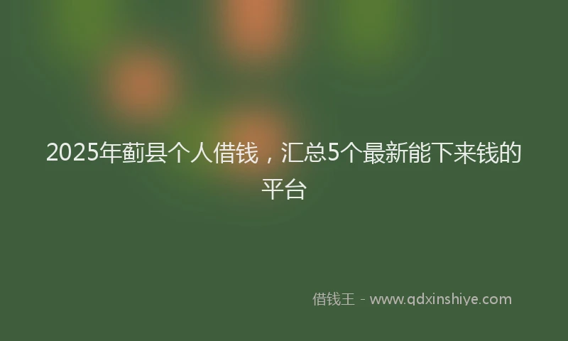2025年蓟县个人借钱，汇总5个最新能下来钱的平台