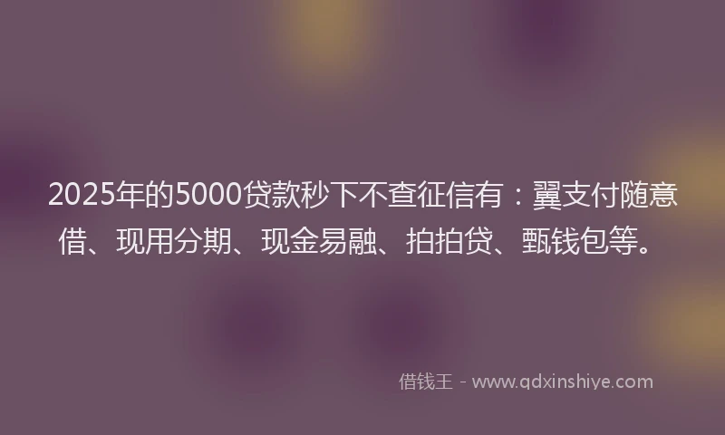 2025年的5000贷款秒下不查征信有：翼支付随意借、现用分期、现金易融、拍拍贷、甄钱包等。