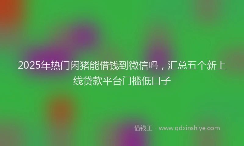 2025年热门闲猪能借钱到微信吗，汇总五个新上线贷款平台门槛低口子