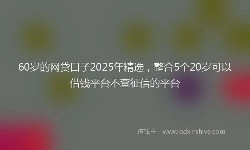 60岁的网贷口子2025年精选，整合5个20岁可以借钱平台不查征信的平台