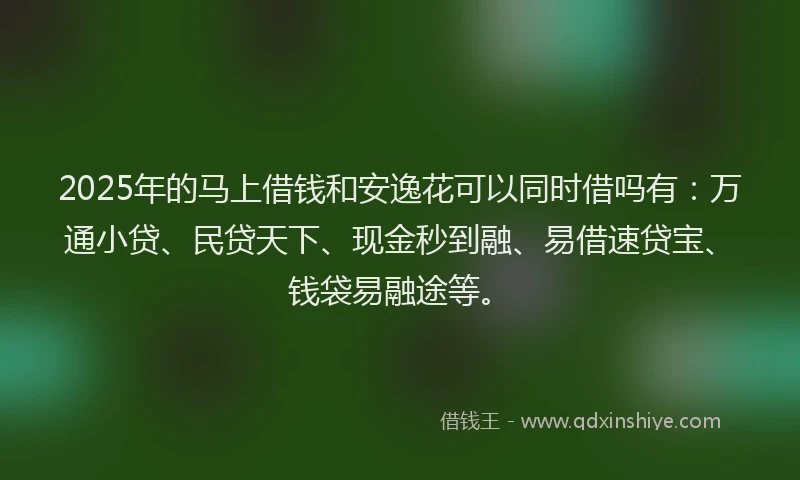 2025年的马上借钱和安逸花可以同时借吗有：万通小贷、民贷天下、现金秒到融、易借速贷宝、钱袋易融途等。