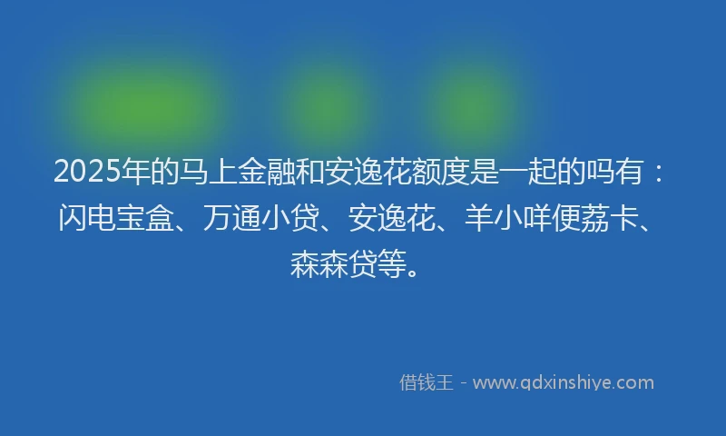 2025年的马上金融和安逸花额度是一起的吗有：闪电宝盒、万通小贷、安逸花、羊小咩便荔卡、森森贷等。