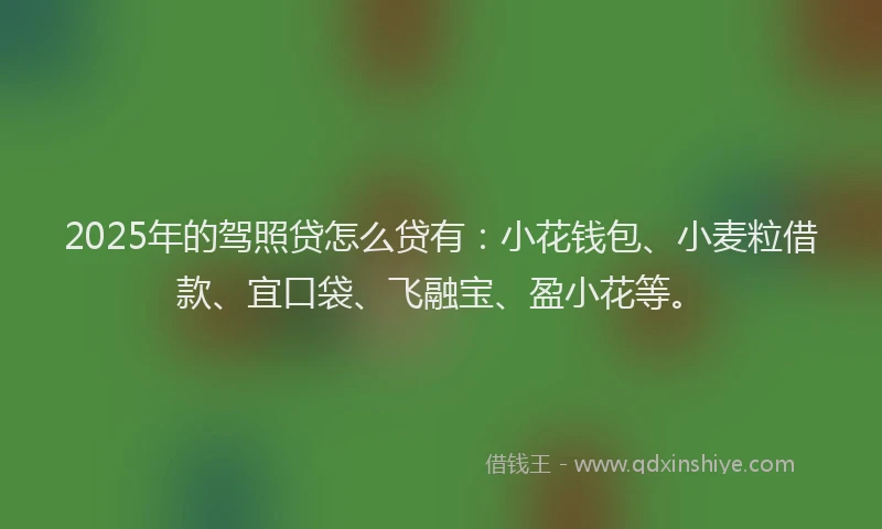 2025年的驾照贷怎么贷有：小花钱包、小麦粒借款、宜口袋、飞融宝、盈小花等。