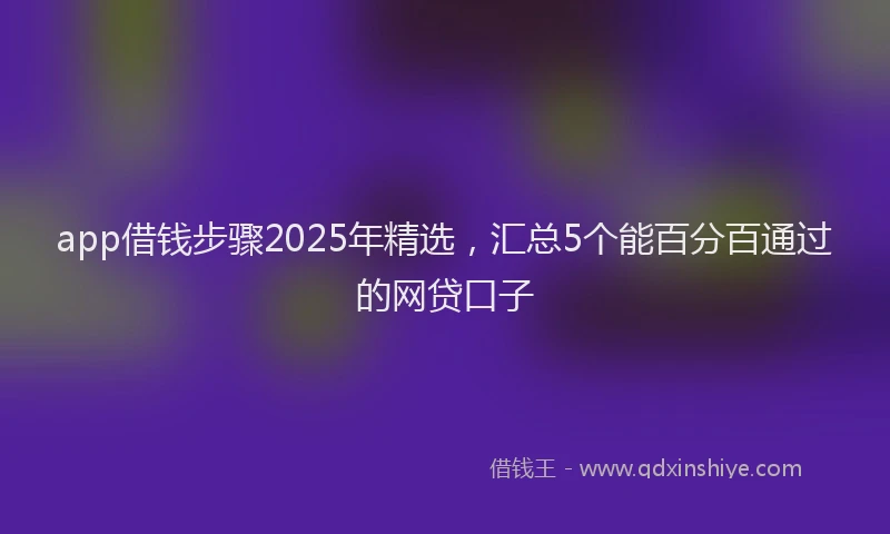 app借钱步骤2025年精选，汇总5个能百分百通过的网贷口子