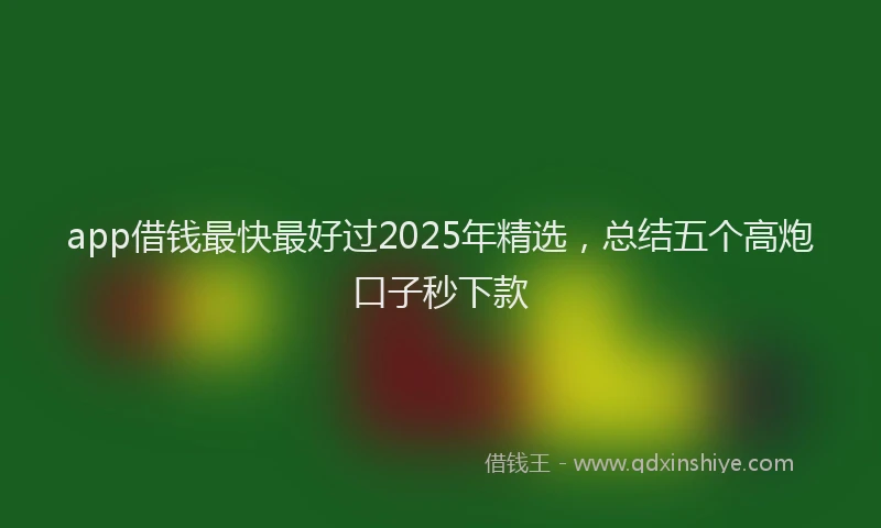 app借钱最快最好过2025年精选，总结五个高炮口子秒下款