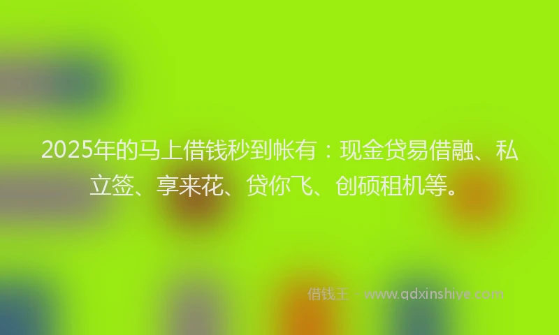 2025年的马上借钱秒到帐有：现金贷易借融、私立签、享来花、贷你飞、创硕租机等。