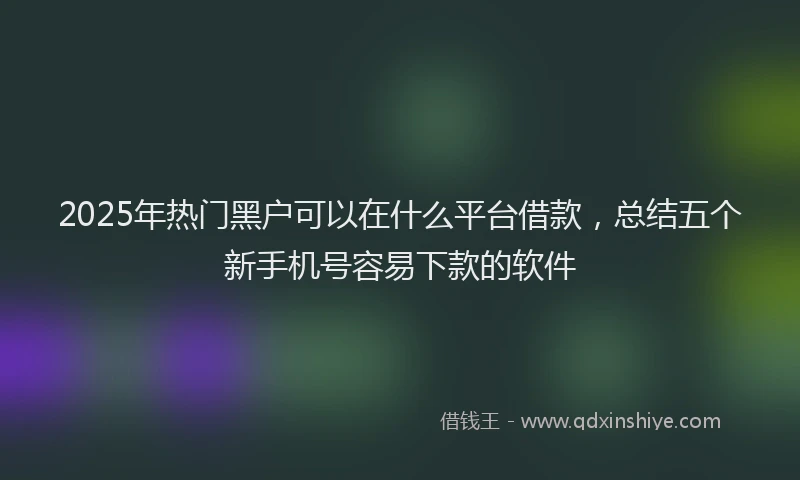 2025年热门黑户可以在什么平台借款，总结五个新手机号容易下款的软件