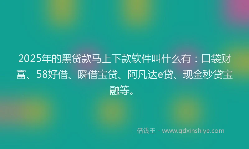 2025年的黑贷款马上下款软件叫什么有：口袋财富、58好借、瞬借宝贷、阿凡达e贷、现金秒贷宝融等。