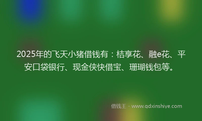2025年的飞天小猪借钱有：桔享花、融e花、平安口袋银行、现金侠快借宝、珊瑚钱包等。