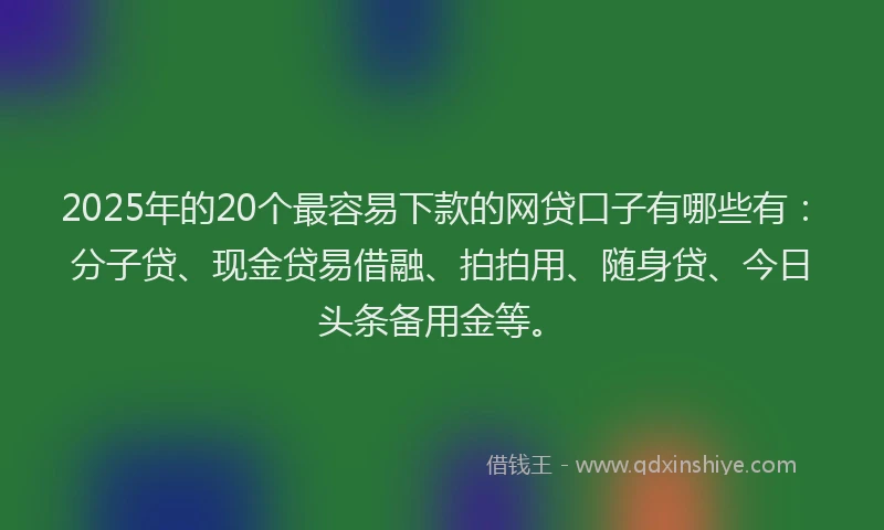 2025年的20个最容易下款的网贷口子有哪些有：分子贷、现金贷易借融、拍拍用、随身贷、今日头条备用金等。