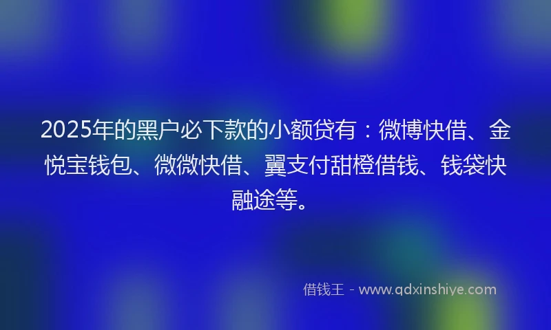2025年的黑户必下款的小额贷有:微博快借、金悦宝钱包、微微快借、翼支付甜橙借钱、钱袋快融途等。