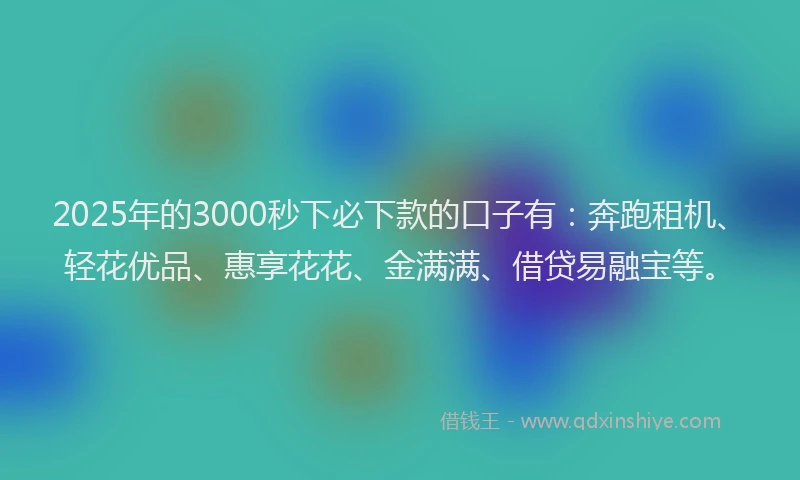 2025年的3000秒下必下款的口子有：奔跑租机、轻花优品、惠享花花、金满满、借贷易融宝等。