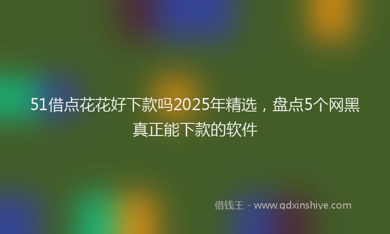 51借点花花好下款吗2025年精选，盘点5个网黑真正能下款的软件