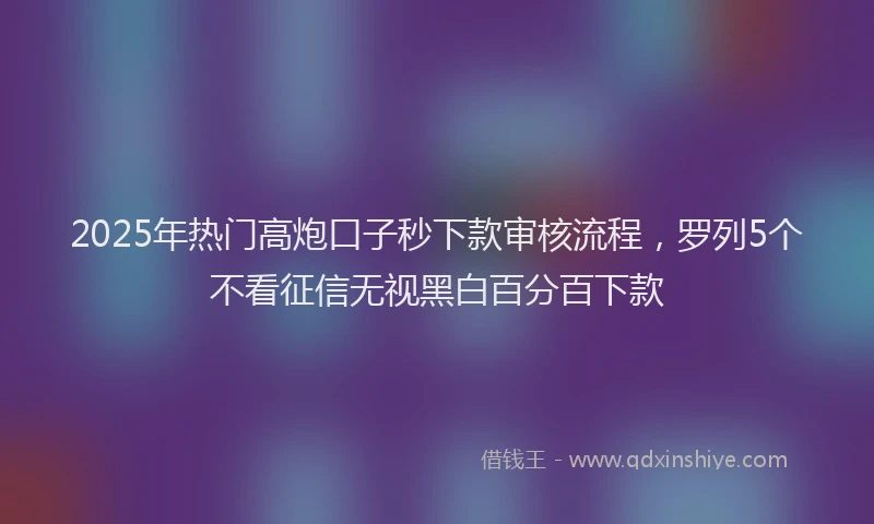 2025年热门高炮口子秒下款审核流程，罗列5个不看征信无视黑白百分百下款