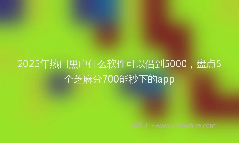 2025年热门黑户什么软件可以借到5000，盘点5个芝麻分700能秒下的app