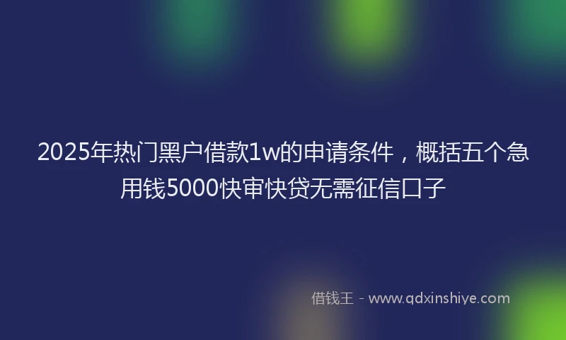2025年热门黑户借款1w的申请条件，概括五个急用钱5000快审快贷无需征信口子