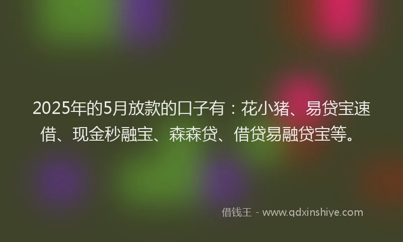2025年的5月放款的口子有：花小猪、易贷宝速借、现金秒融宝、森森贷、借贷易融贷宝等。