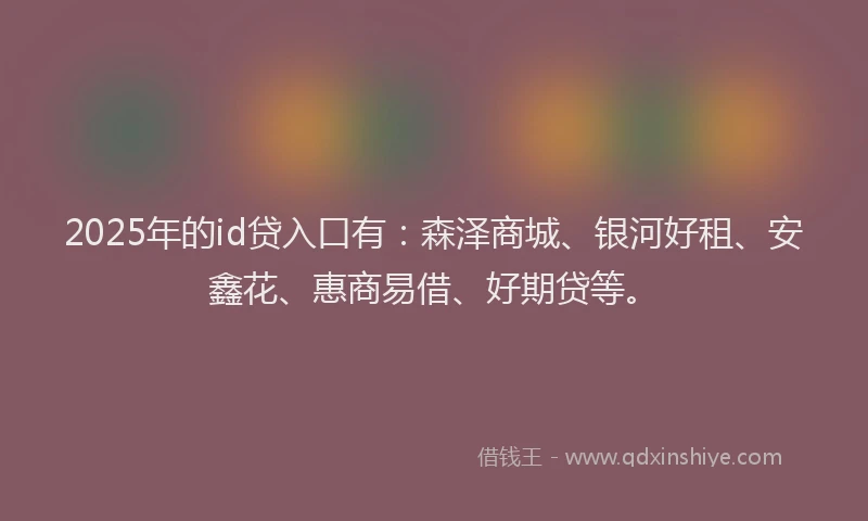 2025年的id贷入口有：森泽商城、银河好租、安鑫花、惠商易借、好期贷等。