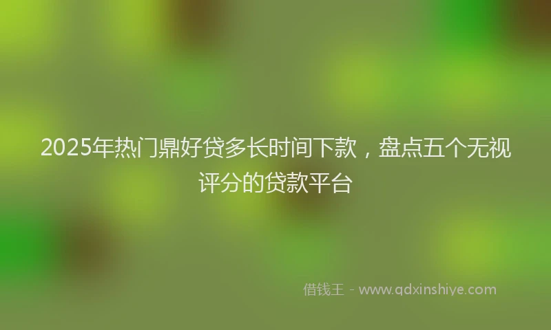 2025年热门鼎好贷多长时间下款，盘点五个无视评分的贷款平台
