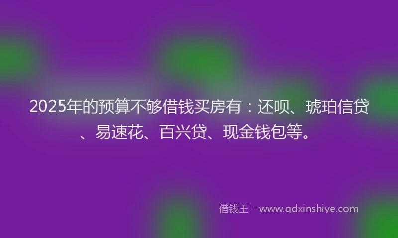 2025年的预算不够借钱买房有：还呗、琥珀信贷、易速花、百兴贷、现金钱包等。