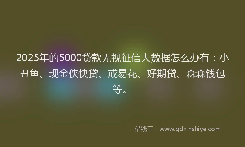 2025年的5000贷款无视征信大数据怎么办有：小丑鱼、现金侠快贷、戒易花、好期贷、森森钱包等。