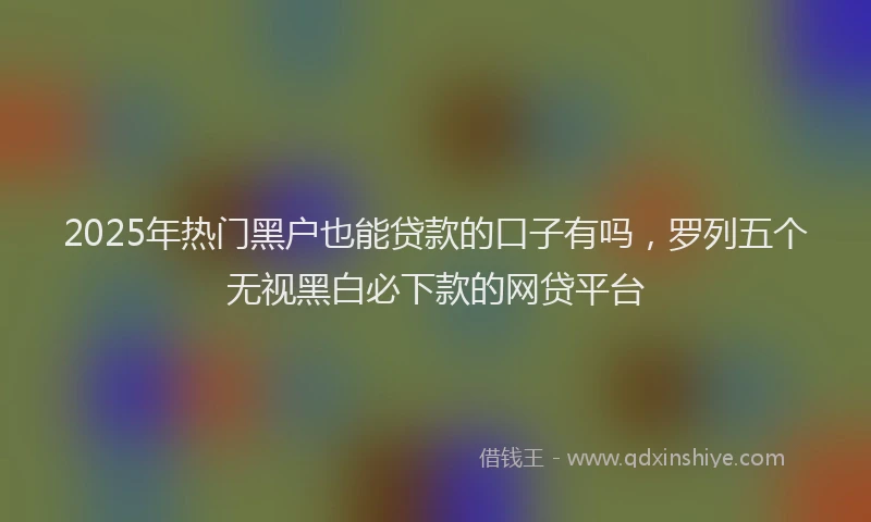 2025年热门黑户也能贷款的口子有吗，罗列五个无视黑白必下款的网贷平台