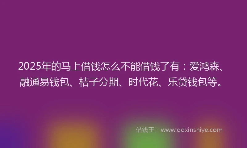 2025年的马上借钱怎么不能借钱了有：爱鸿森、融通易钱包、桔子分期、时代花、乐贷钱包等。