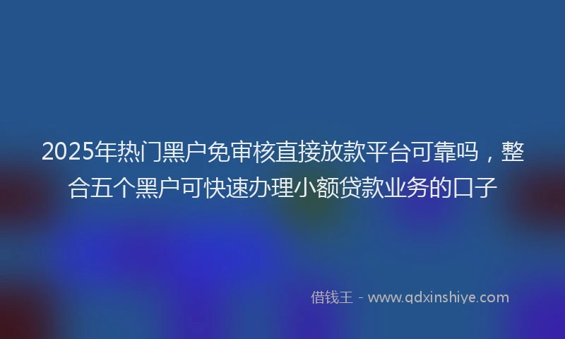 2025年热门黑户免审核直接放款平台可靠吗，整合五个黑户可快速办理小额贷款业务的口子