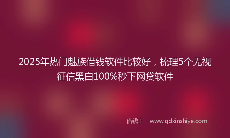 2025年热门魅族借钱软件比较好，梳理5个无视征信黑白100%秒下网贷软件