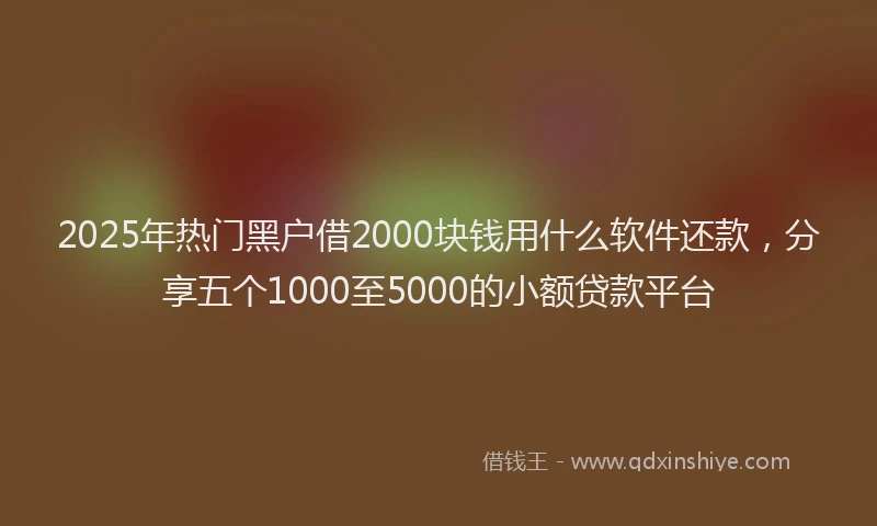 2025年热门黑户借2000块钱用什么软件还款，分享五个1000至5000的小额贷款平台
