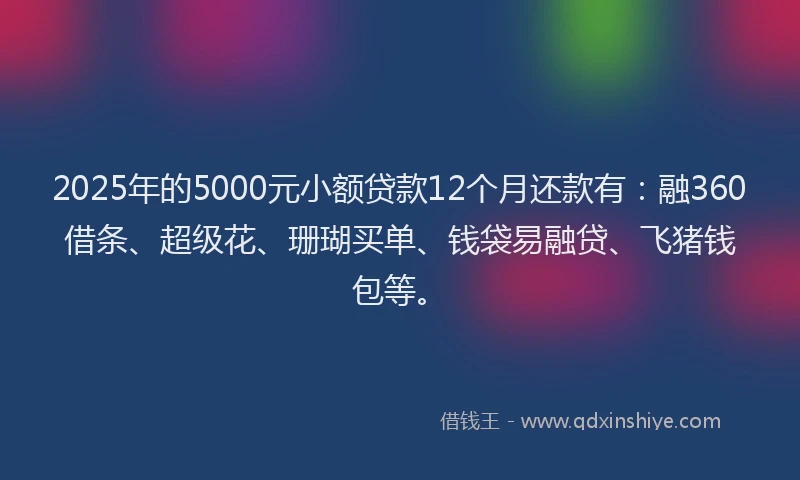 2025年的5000元小额贷款12个月还款有：融360借条、超级花、珊瑚买单、钱袋易融贷、飞猪钱包等。
